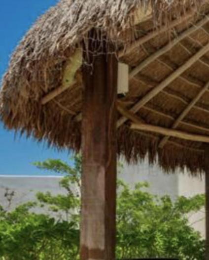 Niwa Tulum Hotel Luaran gambar
